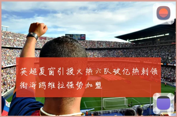 英超夏窗引援火热六队破亿热刺领衔海鸥维拉强势加盟